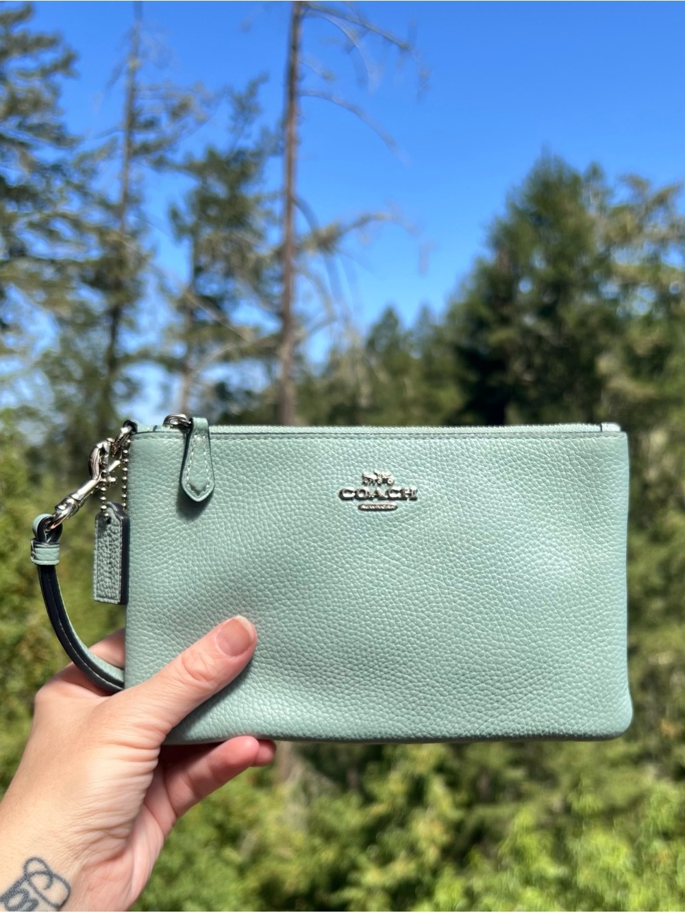 COACH Women's Small Wristlet Mint Green Pebbled Leather Silver Hardware 22952
